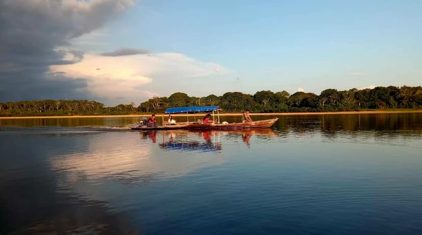 Discovering the Amazon